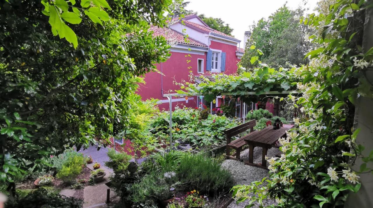 טריאסטה Charming Apartment In A 19Th Century Villa מראה חיצוני תמונה