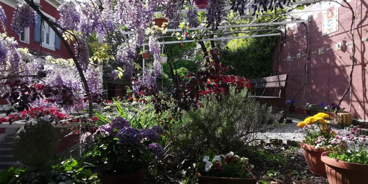 טריאסטה Charming Apartment In A 19Th Century Villa מראה חיצוני תמונה